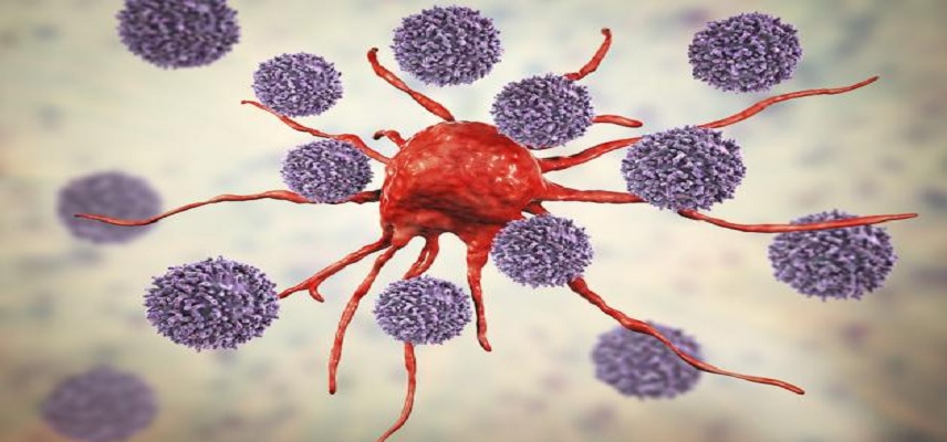 Bristol Myers’ SNDA for Krazati and Cetuximab Gets Approval